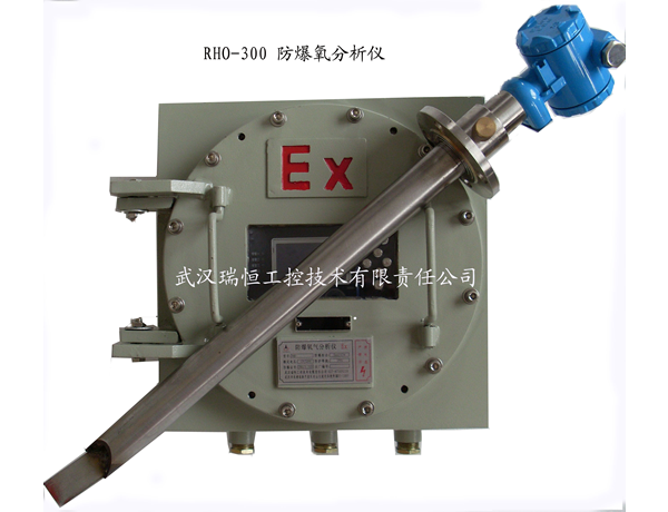 RHO-300P高温防爆直插氧分析仪