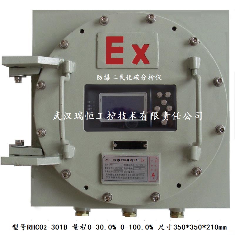 RHCO2-300B防爆二氧化碳分析仪