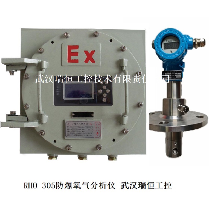 RHO-305直插防爆氧气分析仪