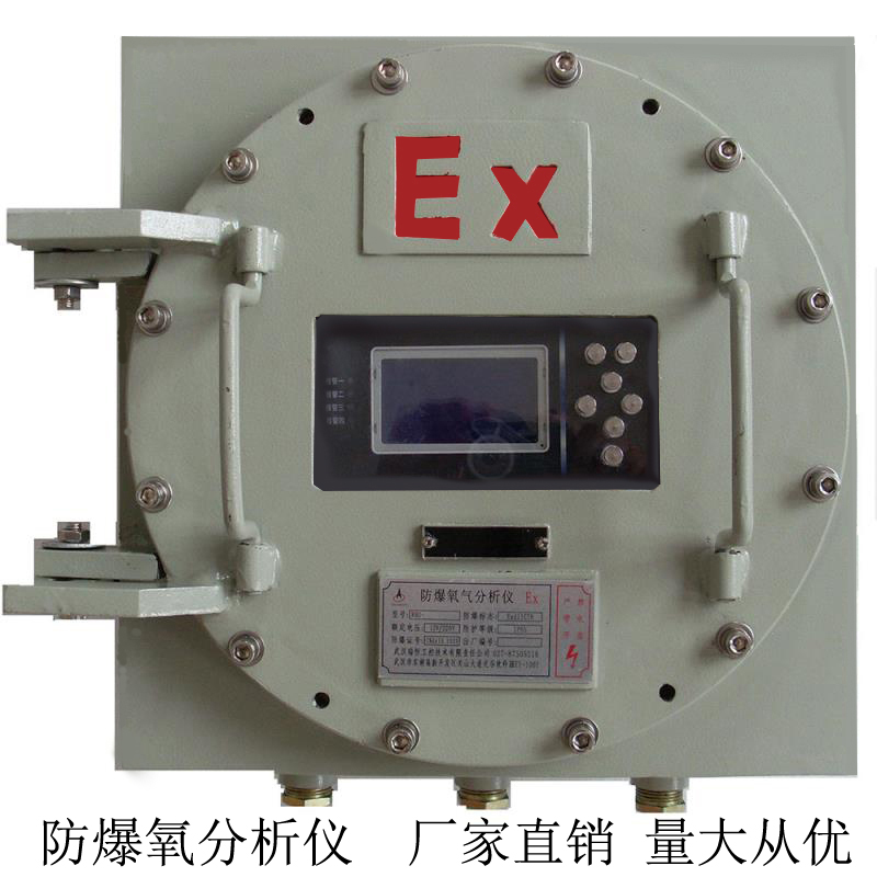 RHO-302壁挂防爆微量氧气分析仪